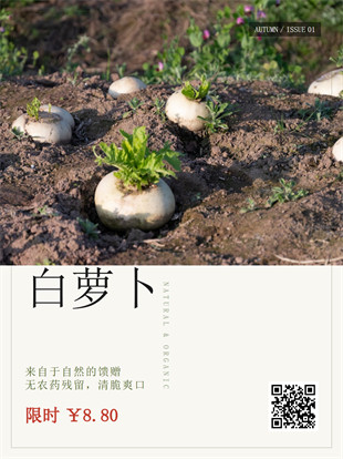 生鲜蔬菜封面海报模板