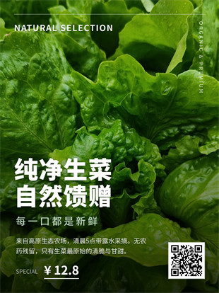 生鲜蔬菜封面海报模板