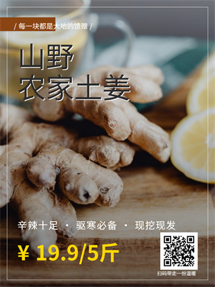 生鲜蔬菜封面海报模板