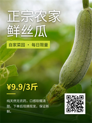 生鲜蔬菜封面海报模板