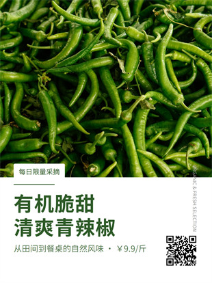 生鲜蔬菜封面海报模板