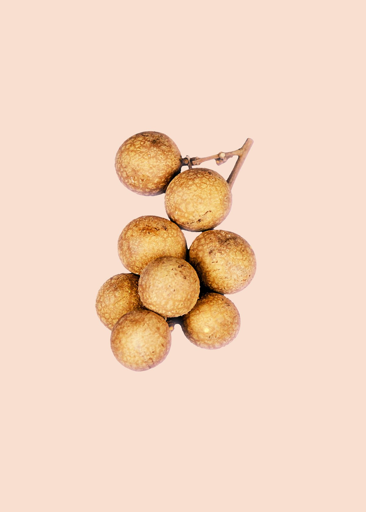 Dried Longan Texture