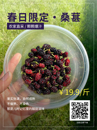 水果促销广告图模板