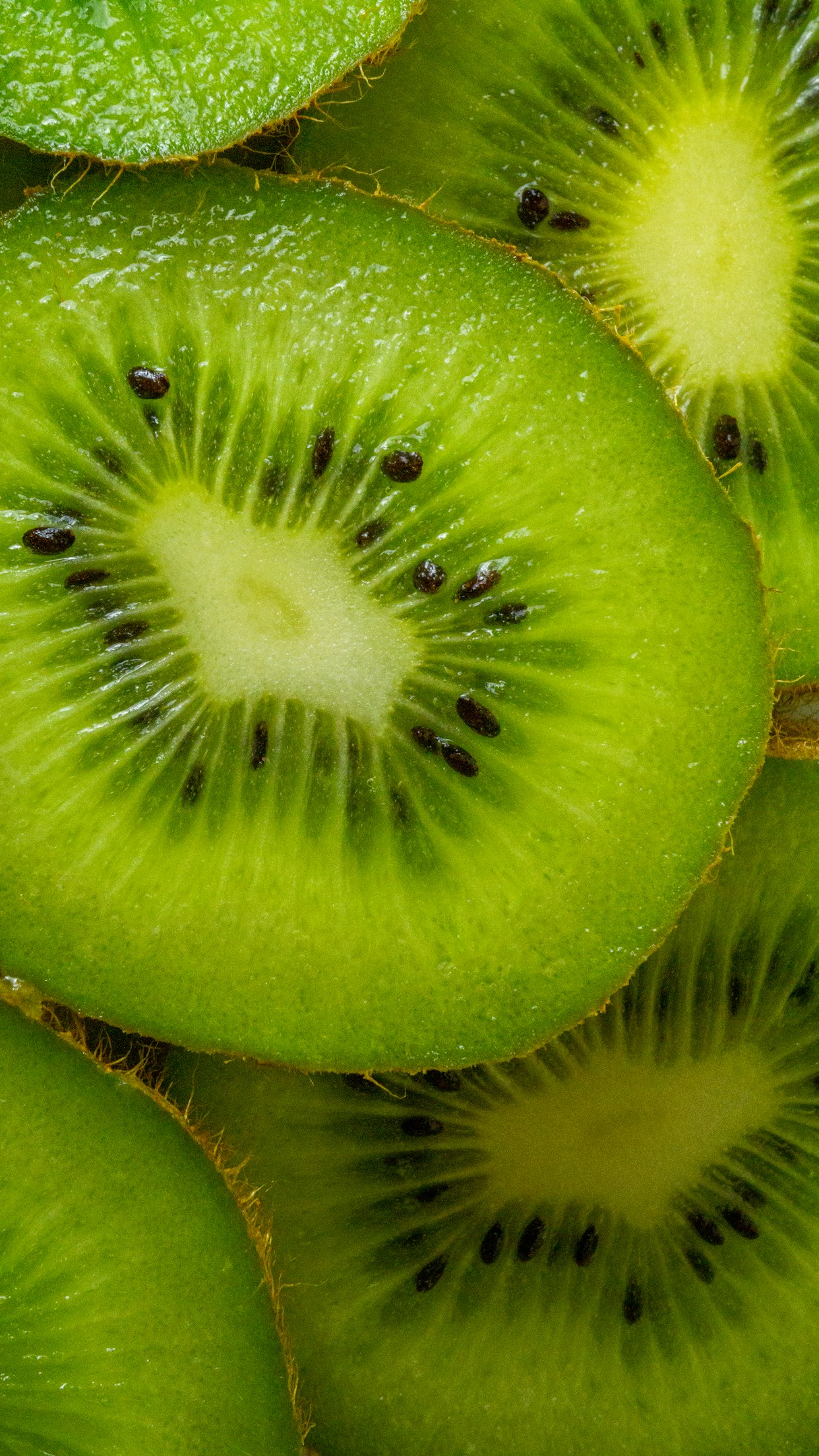 Premium Kiwi